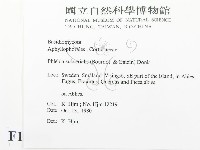 登錄號:F0016708藏品圖，第2張