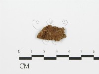 登錄號:F0016708藏品圖，第1張