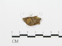 登錄號:F0016708藏品圖，第3張