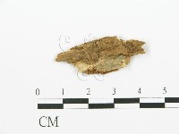 登錄號:F0016709藏品圖，第1張