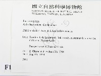 登錄號:F0016710藏品圖，第2張