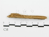 登錄號:F0016710藏品圖，第3張