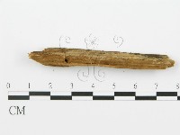 登錄號:F0016710藏品圖，第5張