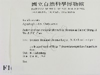 登錄號:F0016711藏品圖，第2張