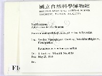 登錄號:F0016714藏品圖，第2張