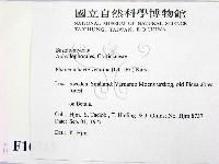 登錄號:F0016715藏品圖，第2張