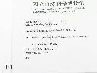 登錄號:F0016716藏品圖，第2張