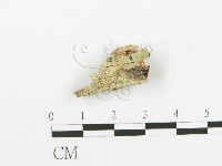 登錄號:F0016716藏品圖，第1張