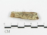 登錄號:F0016717藏品圖，第1張