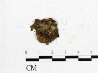 登錄號:F0016720藏品圖，第1張