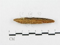 登錄號:F0016722藏品圖，第3張