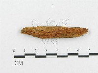 登錄號:F0016722藏品圖，第4張