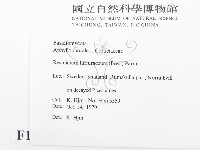 登錄號:F0016723藏品圖，第2張