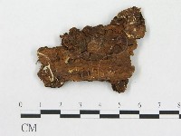 登錄號:F0016723藏品圖，第1張