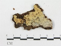 登錄號:F0016723藏品圖，第3張