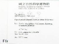 登錄號:F0016725藏品圖，第2張