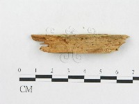 登錄號:F0016725藏品圖，第3張