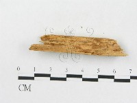 登錄號:F0016725藏品圖，第5張