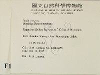 登錄號:F0016726藏品圖，第2張