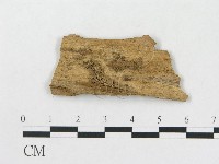 登錄號:F0016727藏品圖，第3張