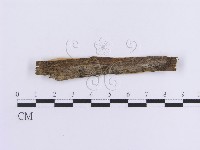 登錄號:F0016728藏品圖，第1張