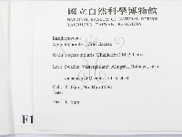 登錄號:F0016731藏品圖，第2張