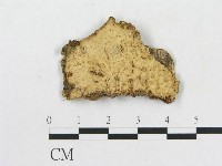 登錄號:F0016731藏品圖，第1張