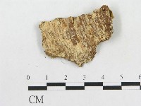 登錄號:F0016731藏品圖，第3張