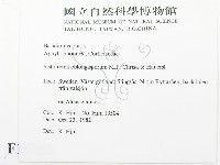 登錄號:F0016733藏品圖，第2張