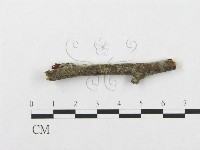 登錄號:F0016733藏品圖，第4張