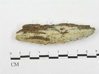 登錄號:F0016734藏品圖，第1張