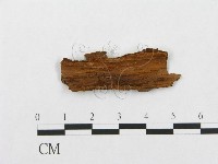 登錄號:F0016735藏品圖，第3張