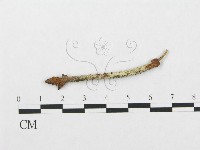 登錄號:F0016736藏品圖，第1張