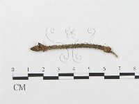 登錄號:F0016736藏品圖，第3張