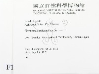 登錄號:F0016737藏品圖，第2張