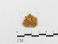 登錄號:F0016737藏品圖，第3張