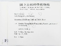 登錄號:F0016738藏品圖，第2張