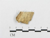 登錄號:F0016738藏品圖，第3張