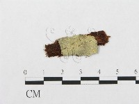 登錄號:F0016740藏品圖，第1張