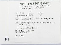 登錄號:F0016742藏品圖，第2張