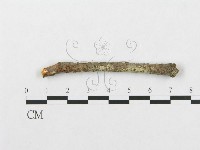 登錄號:F0016742藏品圖，第4張