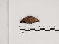 登錄號:F0016743藏品圖，第1張