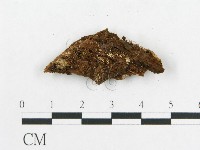 登錄號:F0016743藏品圖，第3張