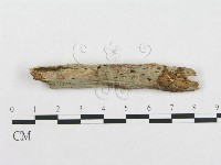 登錄號:F0016746藏品圖，第1張