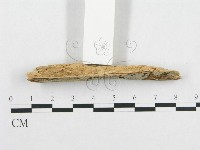 登錄號:F0016746藏品圖，第3張