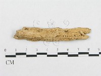 登錄號:F0016746藏品圖，第4張
