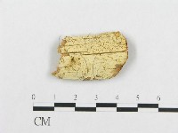 登錄號:F0016747藏品圖，第1張