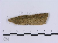 登錄號:F0016748藏品圖，第1張