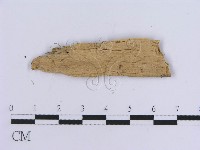 登錄號:F0016748藏品圖，第3張