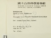 登錄號:F0016750藏品圖，第2張